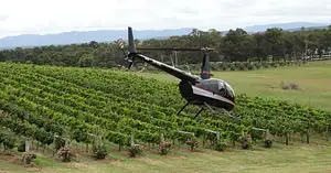 Hunter Valley tour
