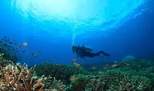 5 day adventure diver Fiji tour