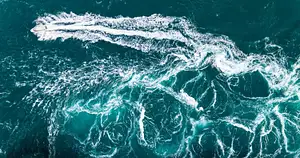 Giant tides sea safari broome