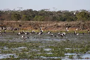 Aboriginal tours in Victoria