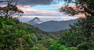 6 Days Costa Rica: Volcanoes, Cloud Forests & Zip-Lines | G Adventures 18-35's