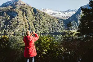 Milford Sound Glass Roof Scenic Tour with Cruise & Helicopter Flight