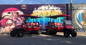 Wynwood Buggies Street Art Tour