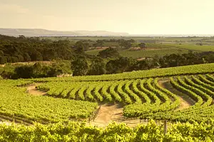 wine tasting tours deals